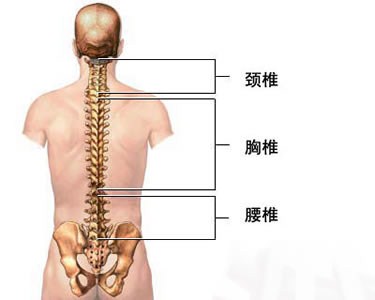 引起腰椎间盘突出的因素有哪些? 引起腰椎间盘突出的因素有哪些?