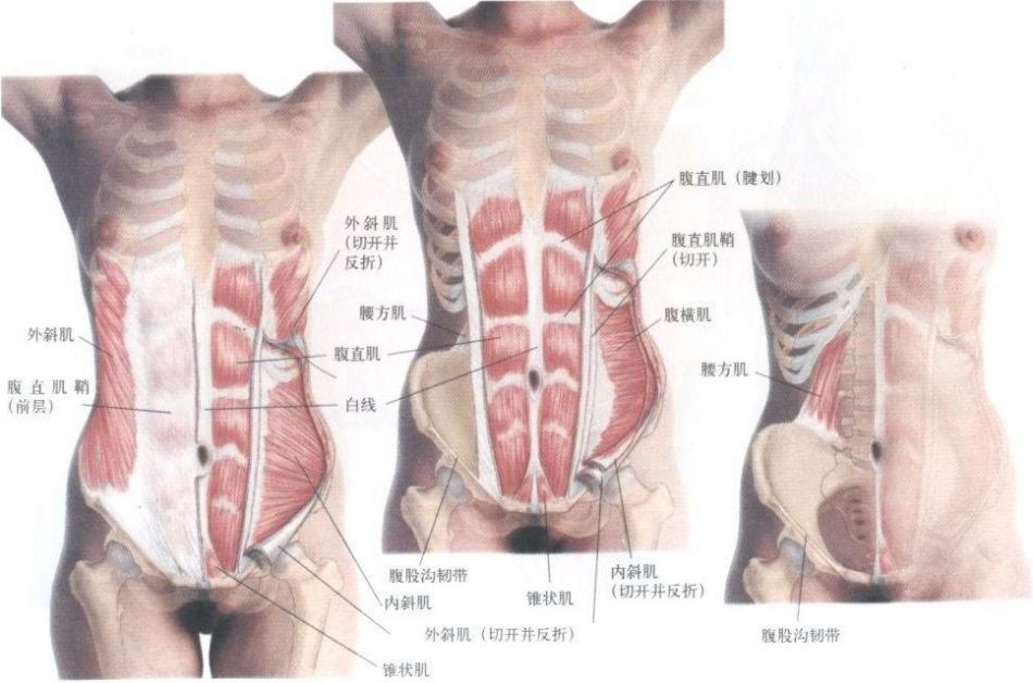 为什么得了骶髂关节炎 为什么得了骶髂关节炎